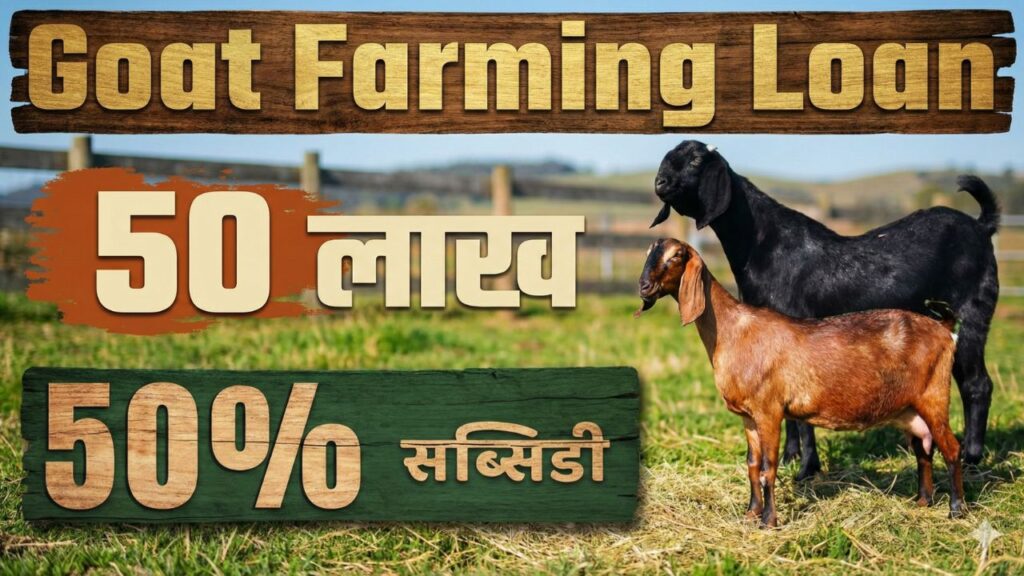 Goat Farming Loan 2026